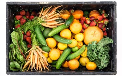 Restoring Your Immune System Post Long-Covid